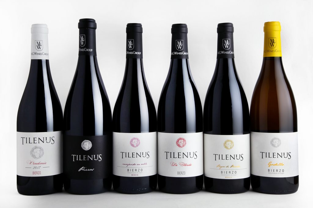 Tilenus D.O. Bierzo Bodegas Estefanía